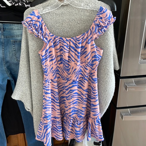 Buddy Love Dress Zebra Blue Pink Large - Picture 6 of 9